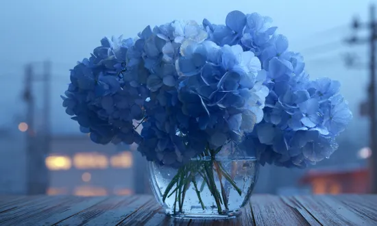 15 декабря - какие цветы подойдут ко Дню радиотехнических войск ВКС РФ, Дню чая и тем, у кого реально есть терпение